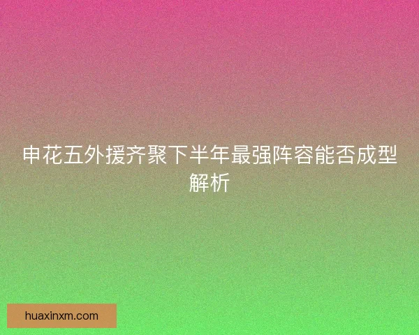 申花五外援齐聚下半年最强阵容能否成型解析