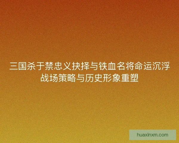 三国杀于禁忠义抉择与铁血名将命运沉浮战场策略与历史形象重塑