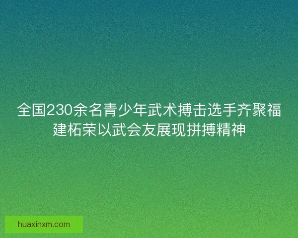 全国230余名青少年武术搏击选手齐聚福建柘荣以武会友展现拼搏精神